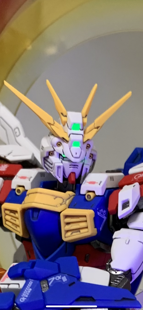 ご覧いただきありがとうございました♪初心者ですが、ボチボチと投稿していきたいと思います‼︎