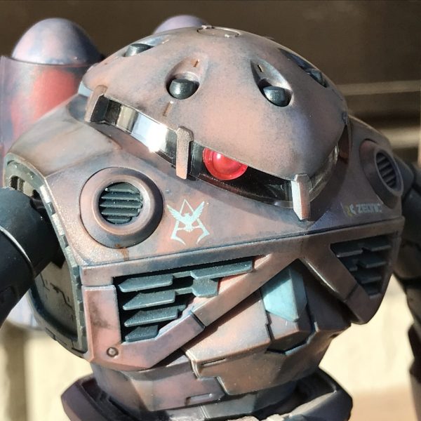 RG ズゴック　成形色仕上げ