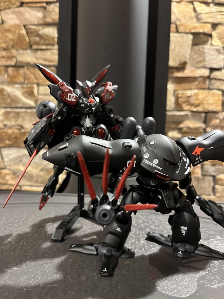 初投稿に上げたハイゴッグと2ショトしました！