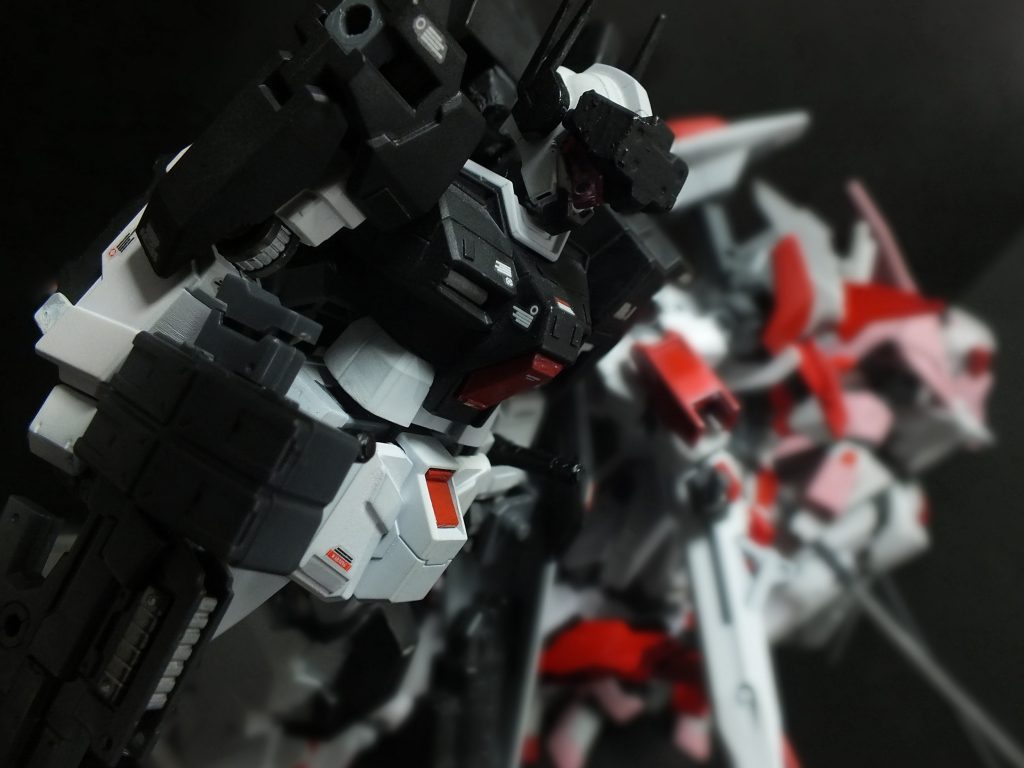 ピント合わせるの失敗した奴。