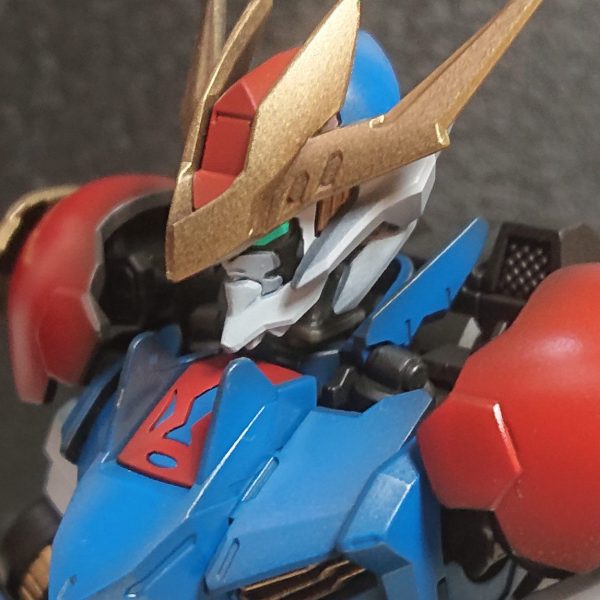 バルバドスルプスレクス