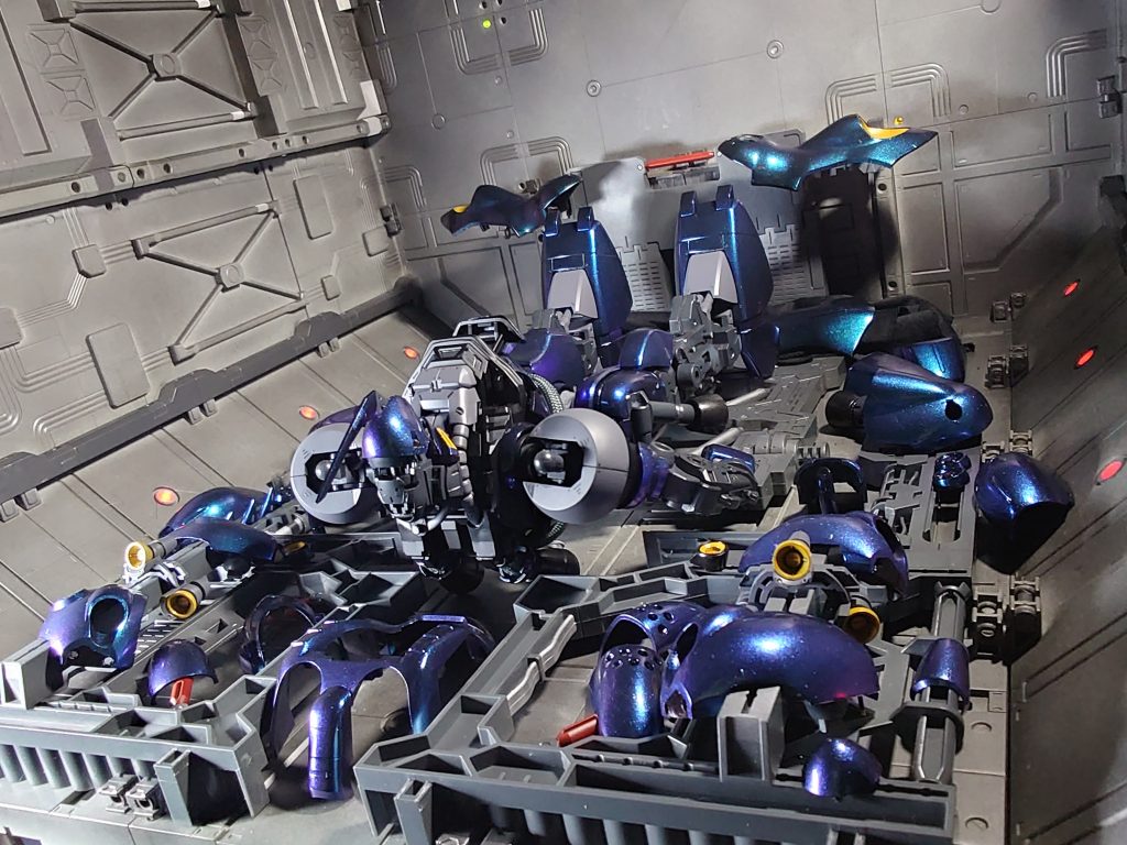 ケンプファーの魅力は無限大パート2 です。