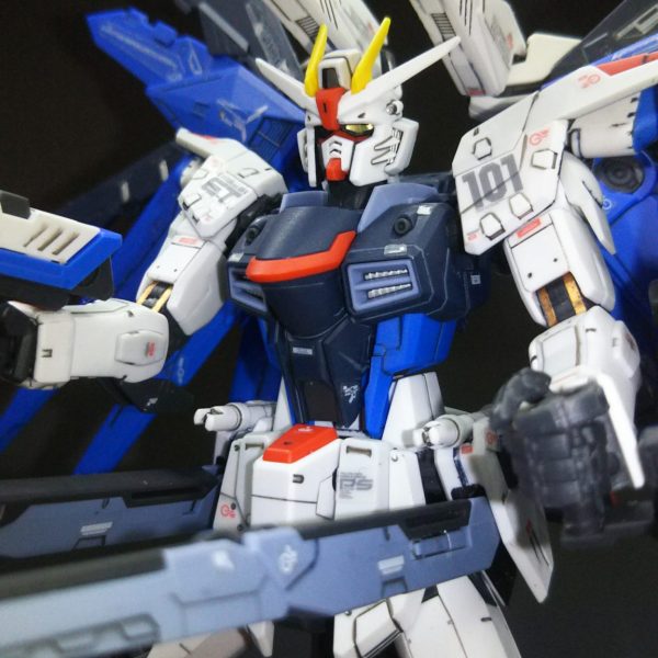 RG フリーダムガンダム