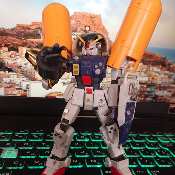 シロー再び❗❗