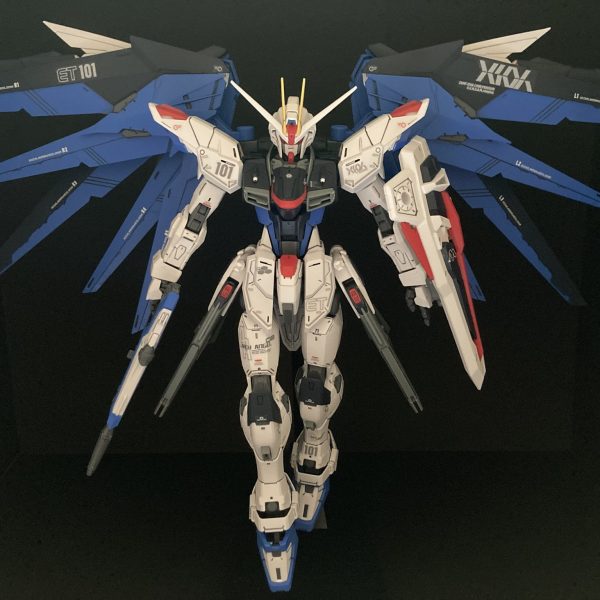 MGフリーダムガンダムver2完成