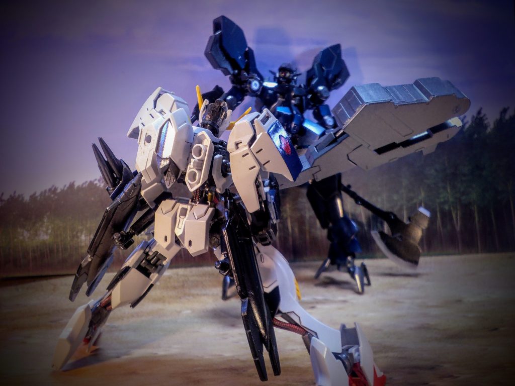 艶々コンビの?テスト撮影?捻りがなくて迫力が足りませんネ(笑)