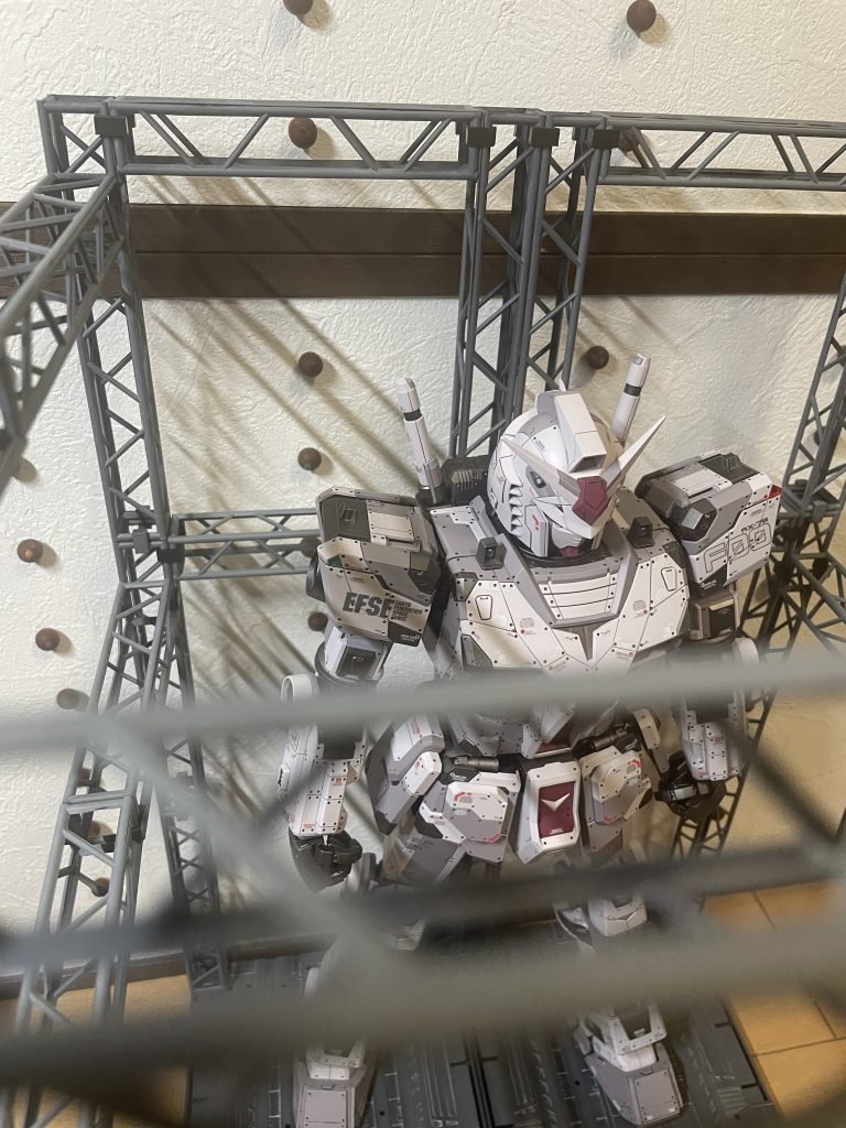 スパイショット。