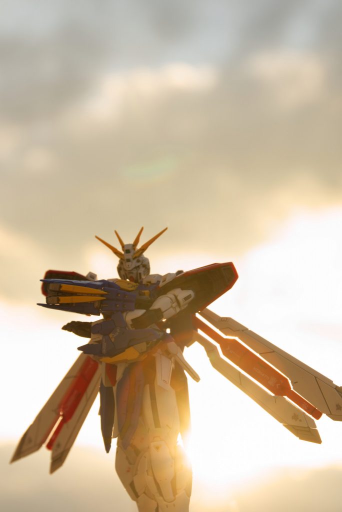 太陽を背に腕組み決まるのだけでもほんとにいいですよね…(ちょっと失敗してますが、逆光が良かったので採用しました。)