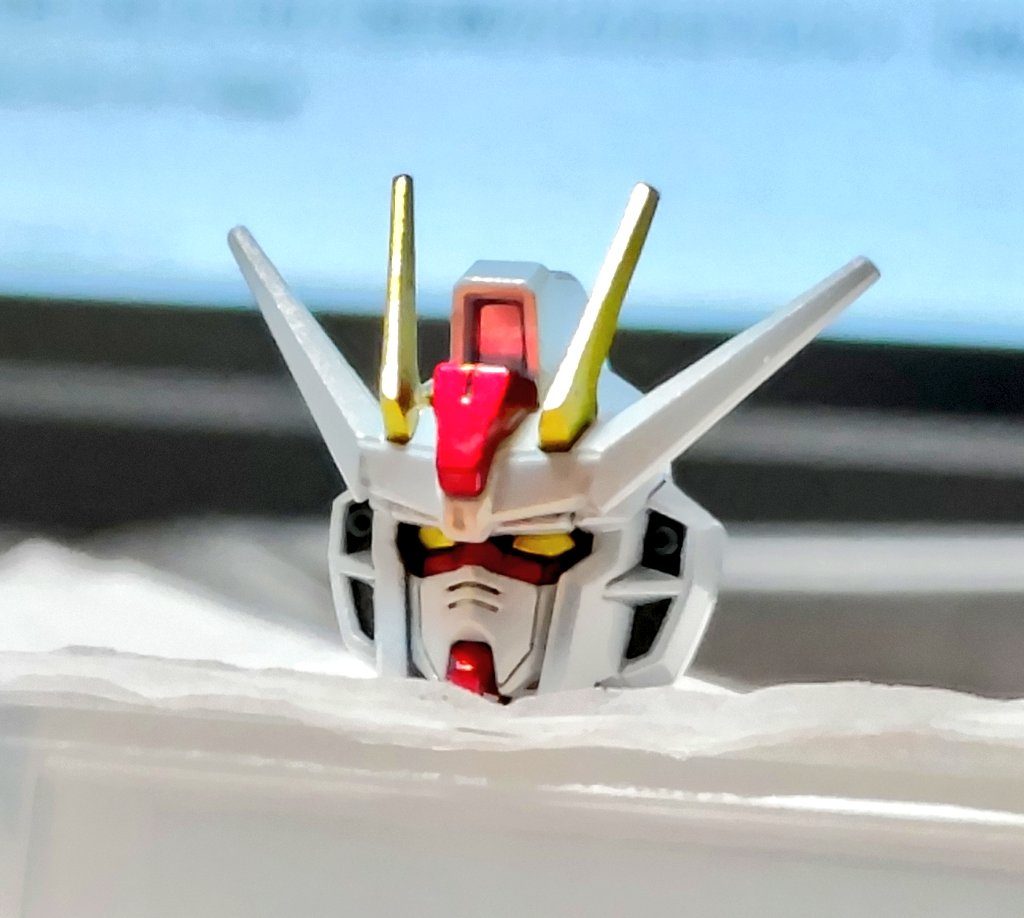 顔写真見たい方向け