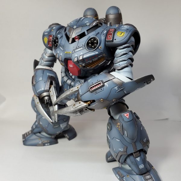 なんちゃってRG…✨強化型ズゴックE！！