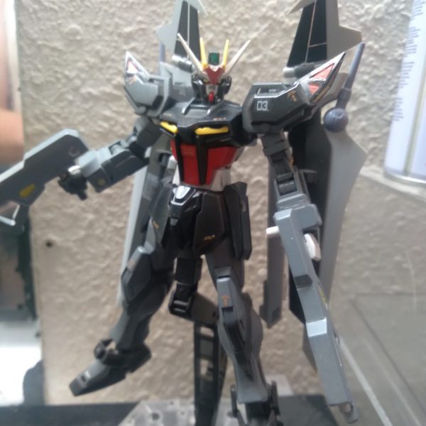 Custom HGCE Strike Noir