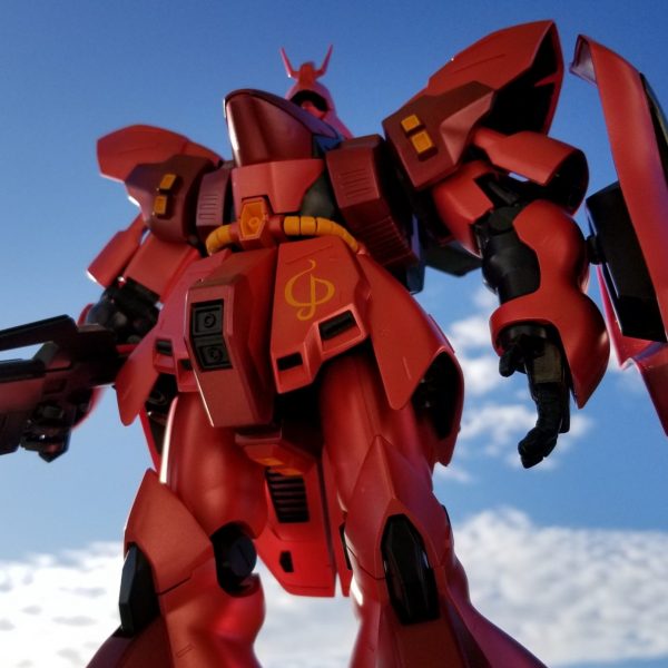 キラキラ✨💍✨　　　・・・の、はずダった