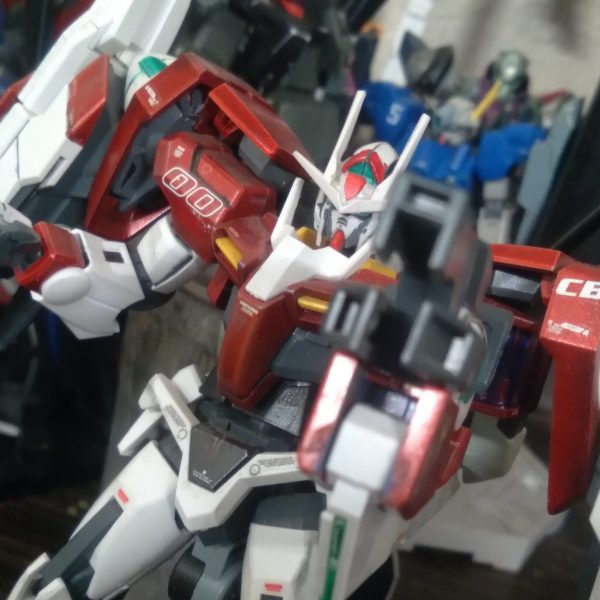 HG 00 Raiser (inspection colors)