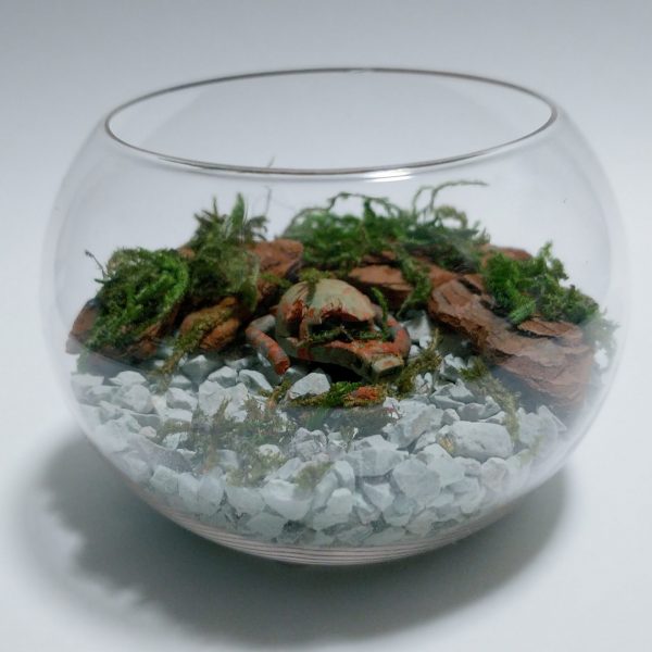 テラリウム風ザクヘッド