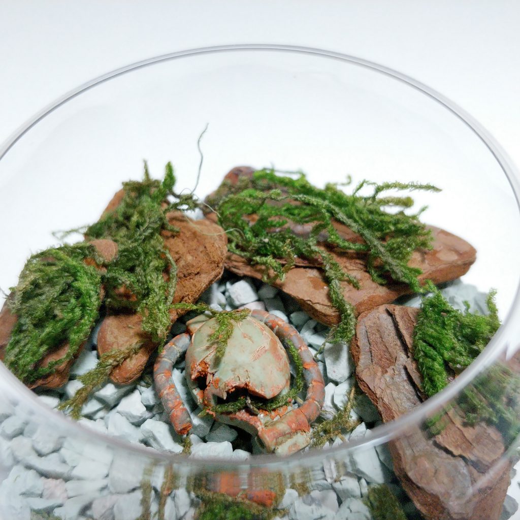 テラリウム風ザクヘッド–4枚目/制作者：みやもとエビワラー