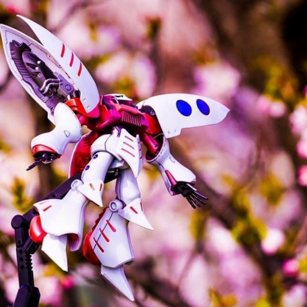 ハマーン様と花見