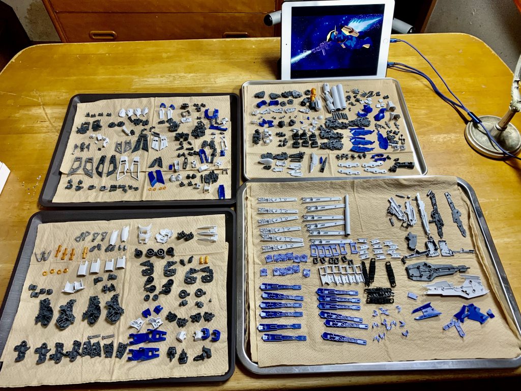 パーツ洗浄後説明書見ながら確認。私の中では最大の苦行。