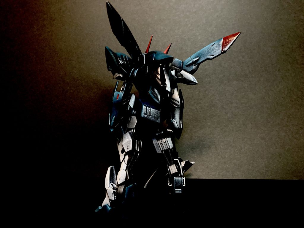 ハイライト入れてる側の背面。