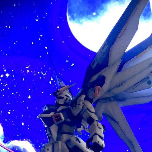 月夜を翔る自由の翼