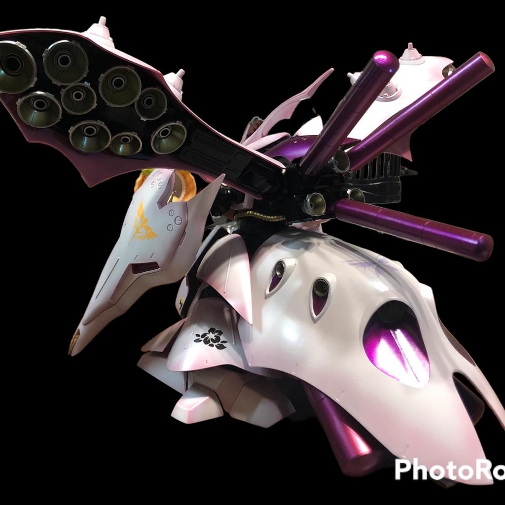 バックショット2