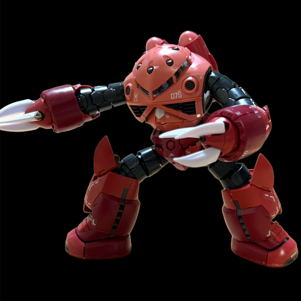 RG 1/144 MSM-07S シャア専用ズゴック