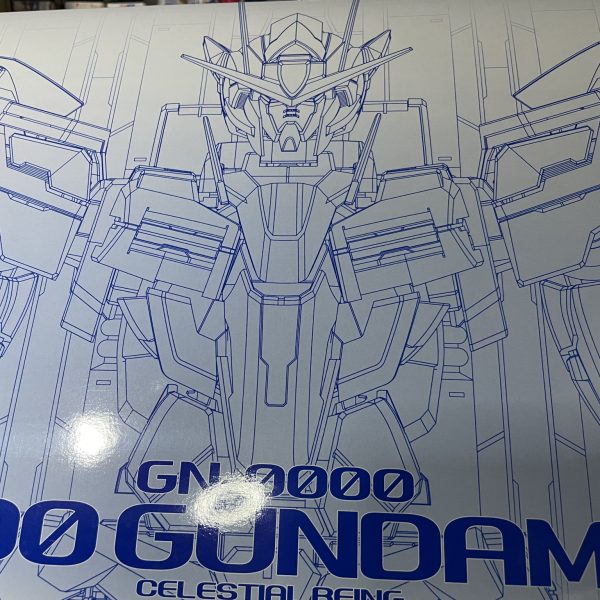 PGダブルオーガンダムを制作中です。まずは厄介な内部フレームから先に全塗装しました。（2枚目）