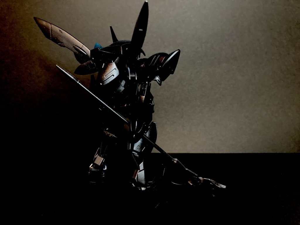 影になっている側の背面。ほぼ真っ黒。