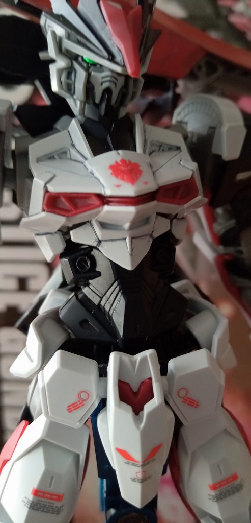 この様に墨入れが少し難しいです。