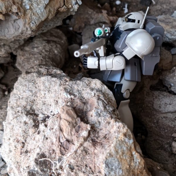 アトラスの毒蛇