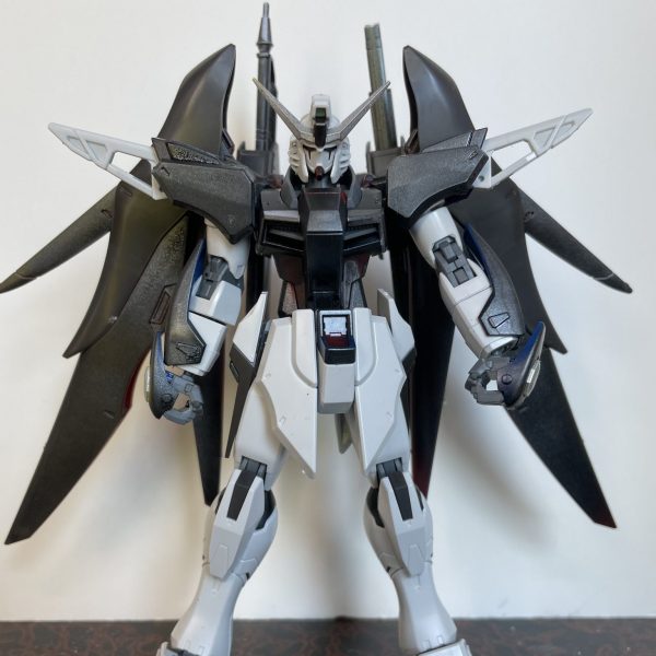 ディスティニーガンダム　モノクロカラー