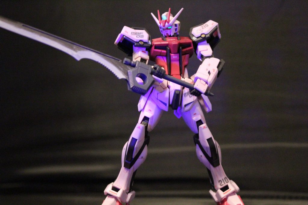 ズゴックに引き続き「リアリスティックデカール」流用です