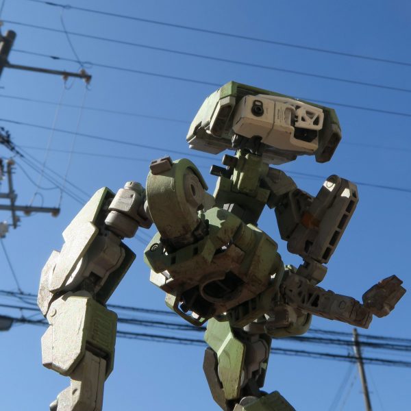 ゲイレール　（逆関節）