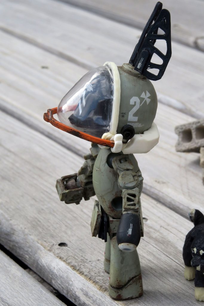 キャノピーの中には兎フェイス