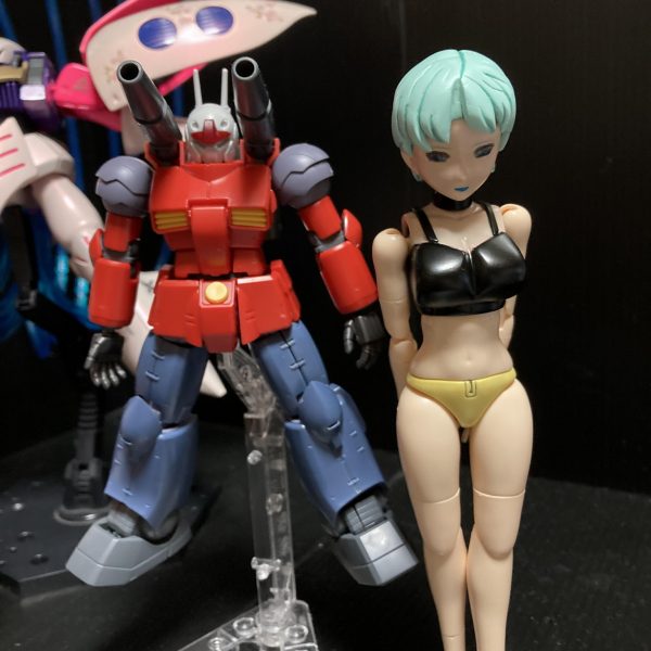 フォウ・・・衣装？アーマー？どうしようかなぁ💦旧キットのサイコガンダム高い💦何か考えながらガンキャノン始めます😊 （3枚目）