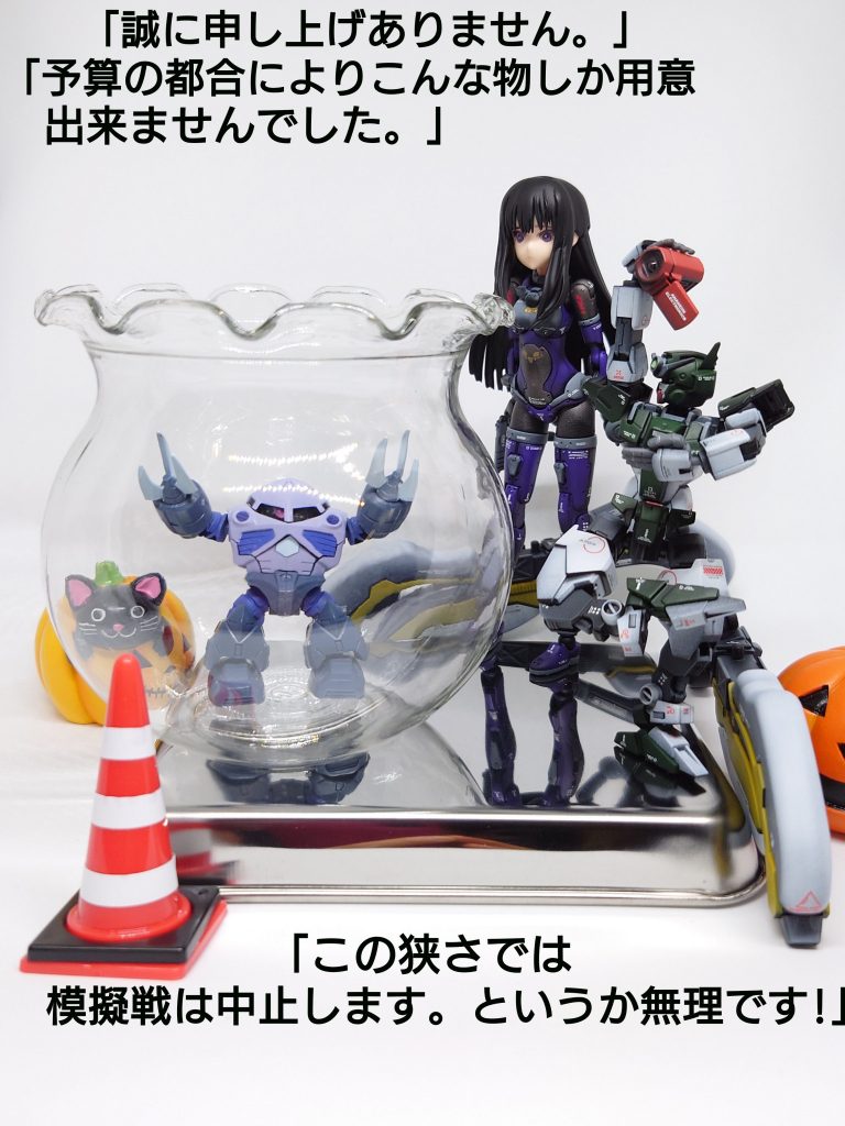 予算の都合によりこ~んなもんしか用意出来ませんでした。(百均ショップで購入)…なので模擬戦はこの規模、狭さでは無理なので中止します。次の模擬戦あるかどうか?…無いでしょうね……最後まで御覧頂きほんと~に有難う御座いました。