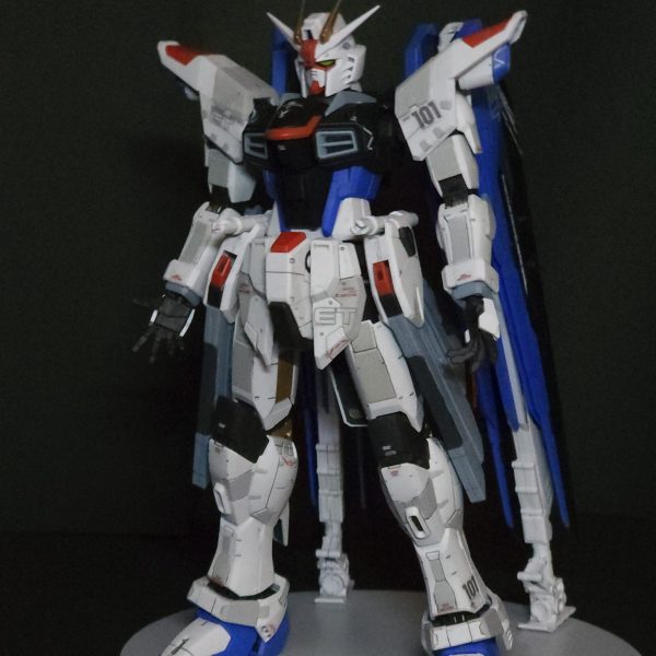 FM フリーダムガンダムverGCP