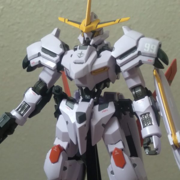HG Gundam Hajiroboshi