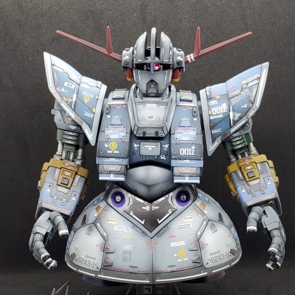 なんちゃってRGジオング(HGです)