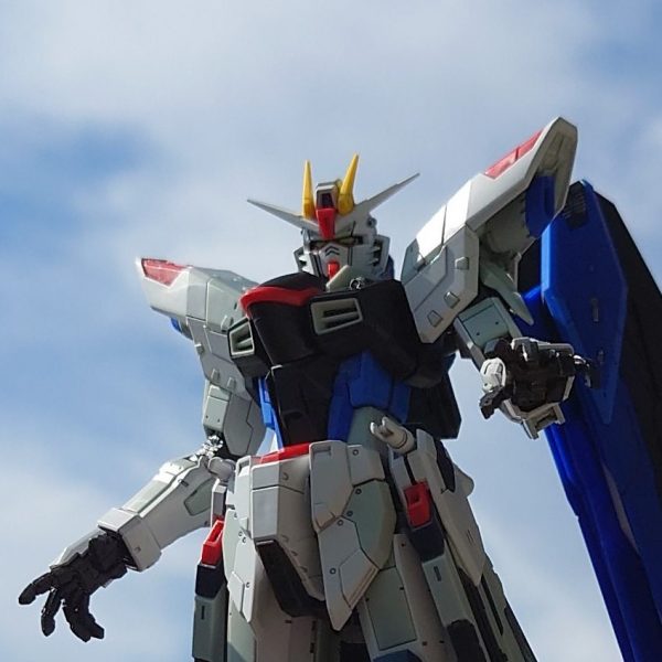 RG 1/144 ガンダムベース限定 ZGMF-X10A フリーダム