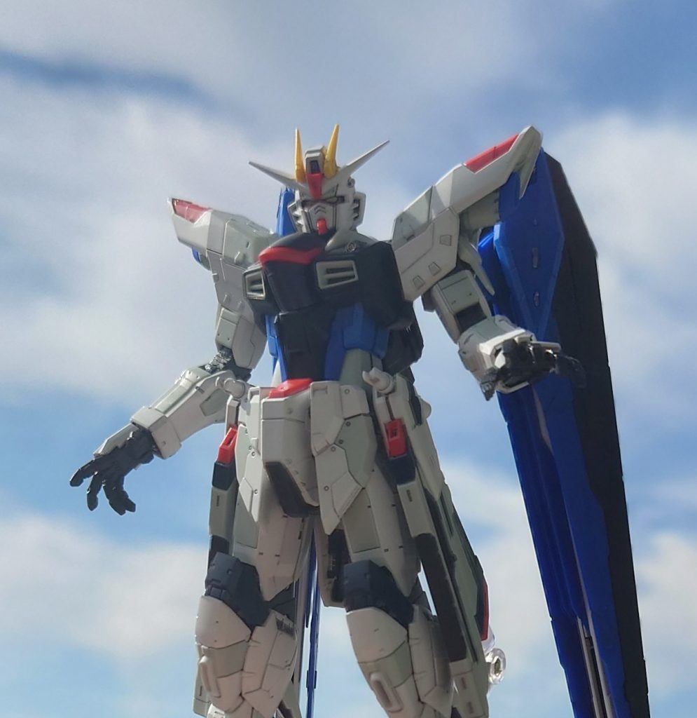 最後も自然光撮影で終わり。