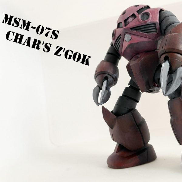 HGUC MSM-07S  シャア専用ズゴック 絵の具全塗装