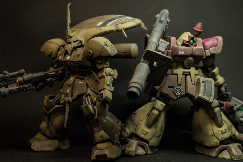 前回投稿したドムトローペンと並べて撮影してみました。