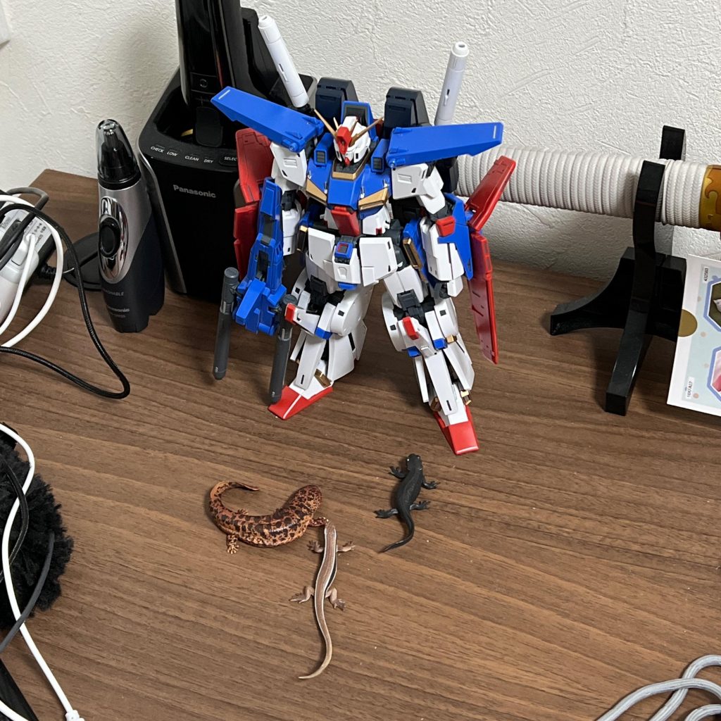 後日。嫁様にイタズラされる 汗