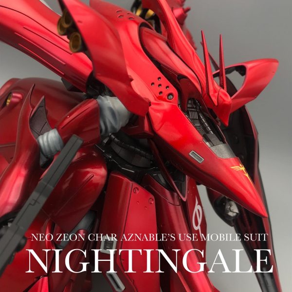 ナイチンゲール　再撮影