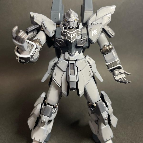 HG シナンジュスタイン