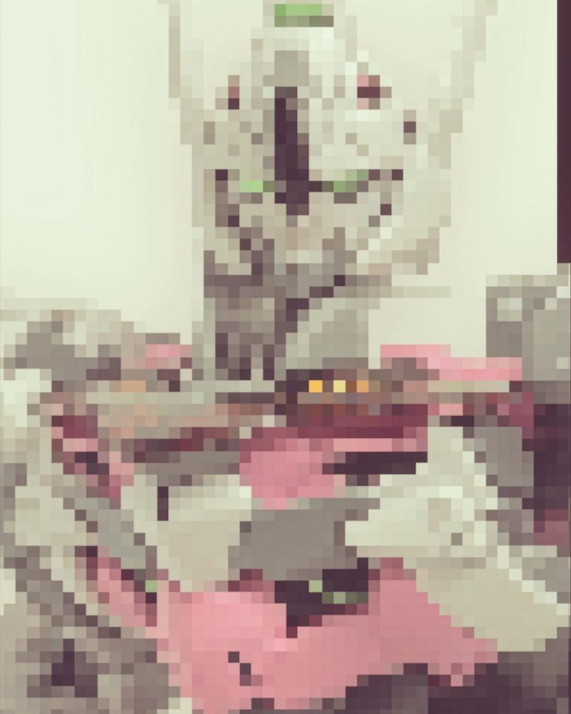 最後の写真はシャレで加工しただけです…😅