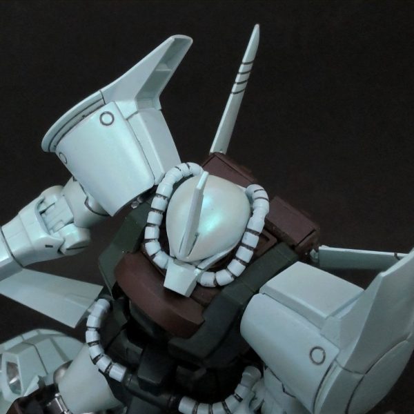 HG グフ・フライトタイプ