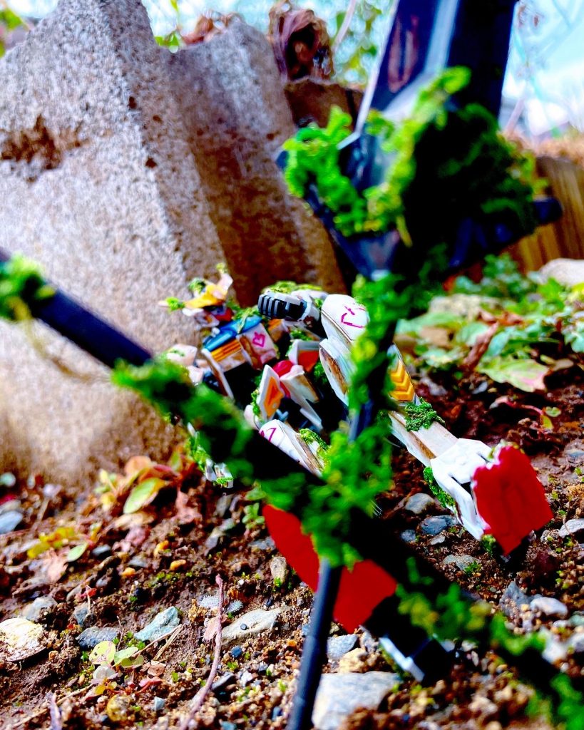 どこで撮ろうか悩みに悩んでなんとなく庭において撮ったらしっくりきました！！