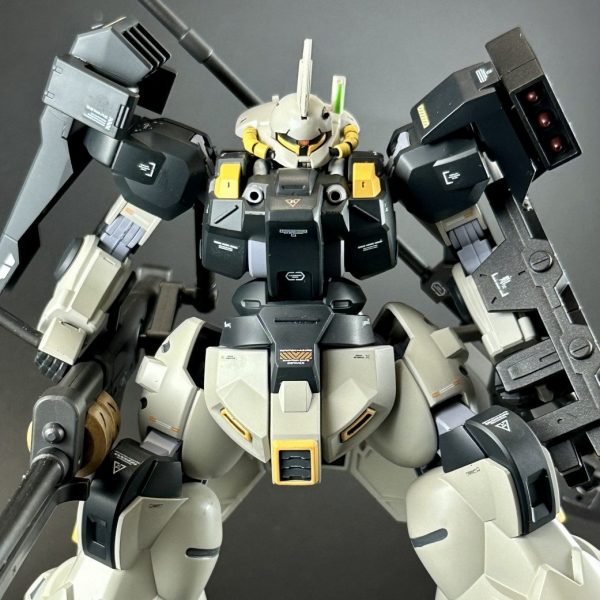 ディランザ・カスタム