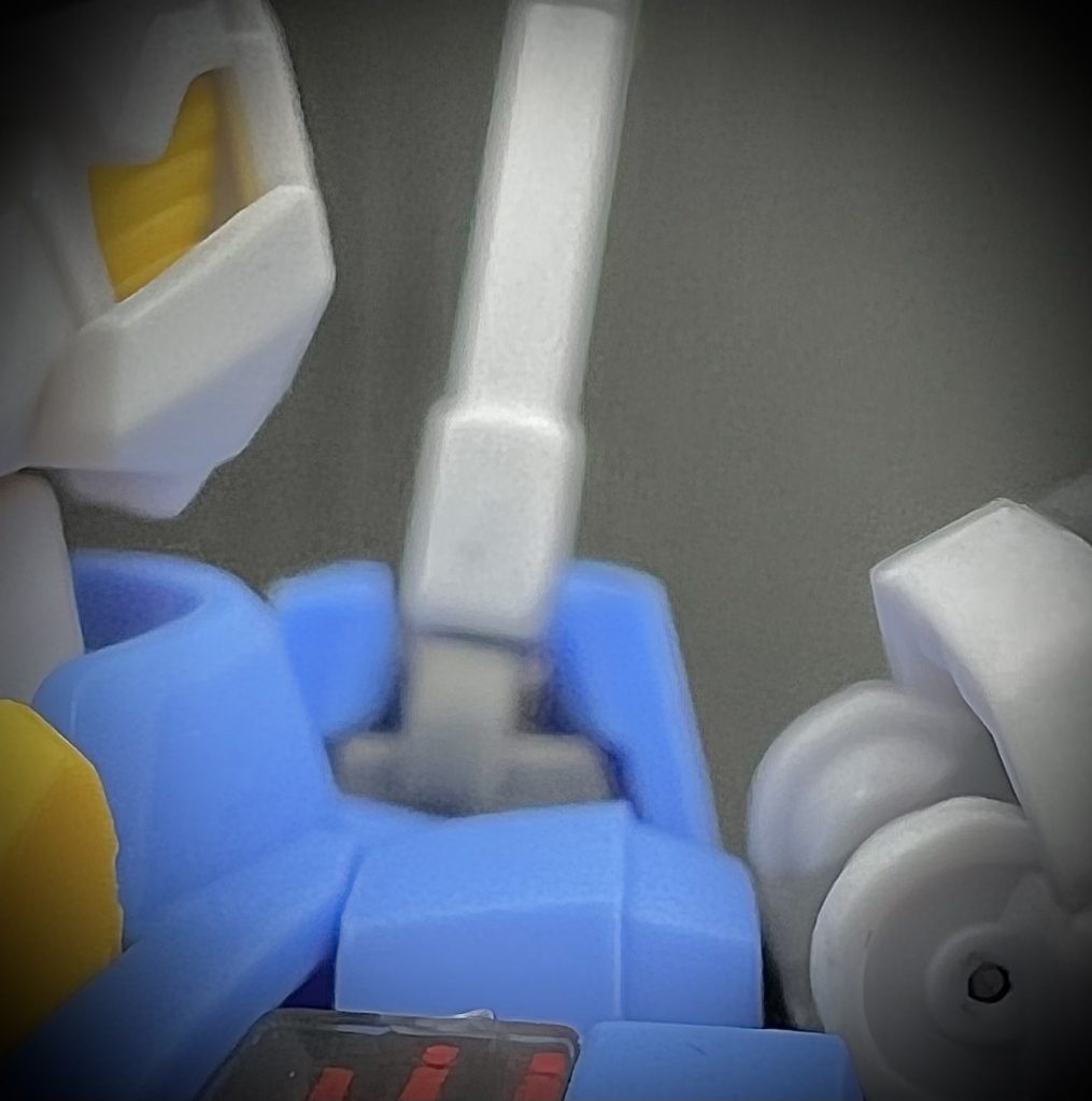 この星に生まれたことこの世界で生き続けることその全てを愛せる様に